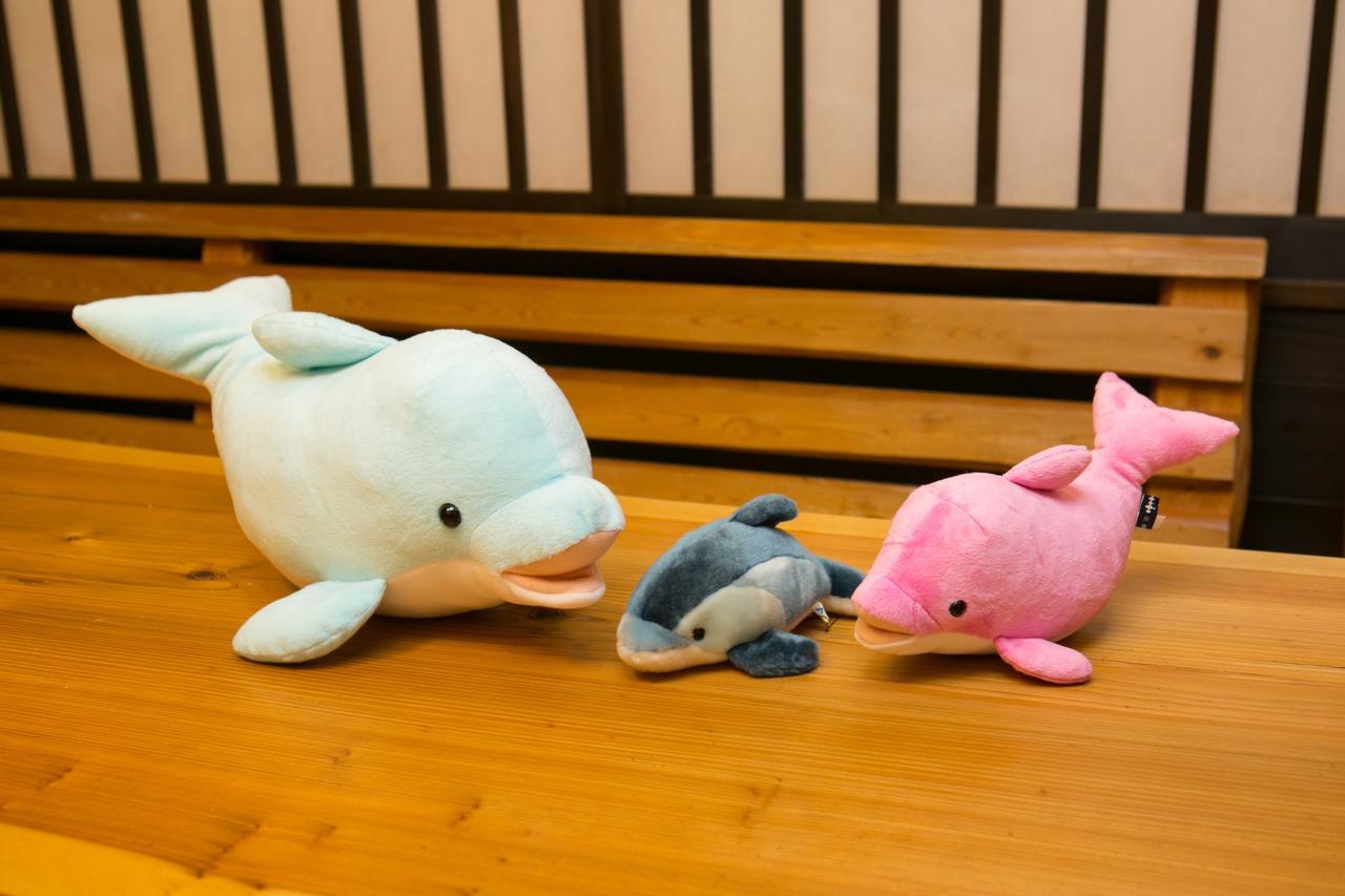 Tabist Sparkling Dolphins Inn Kyoto Eksteriør billede